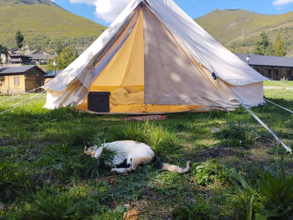 CAMPING LA ZARAPICA - Palacios del Sil - Housity