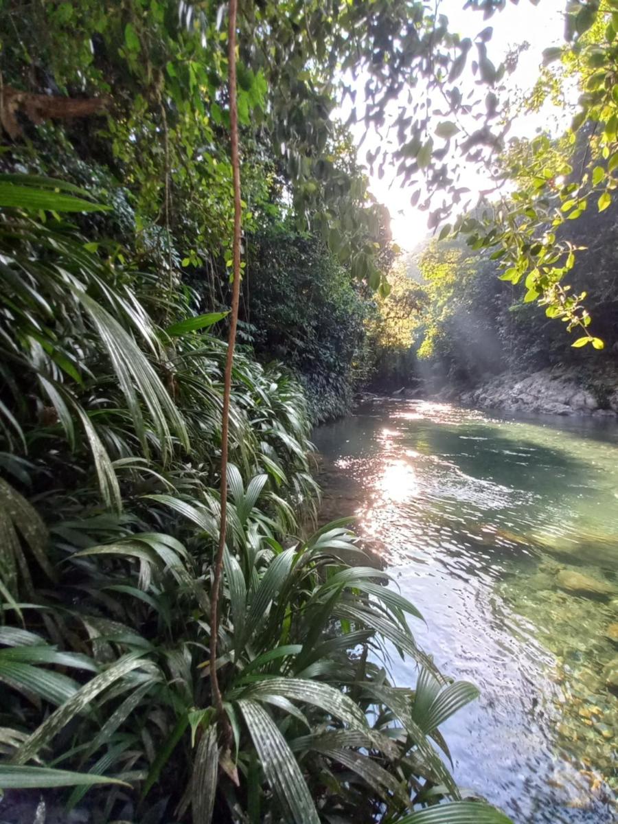 Glamping Rio Melcocho - Housity