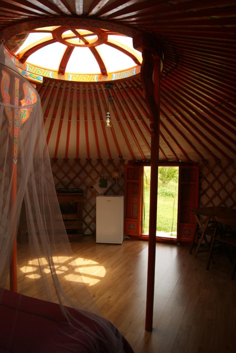 Yurta Cloe - Housity