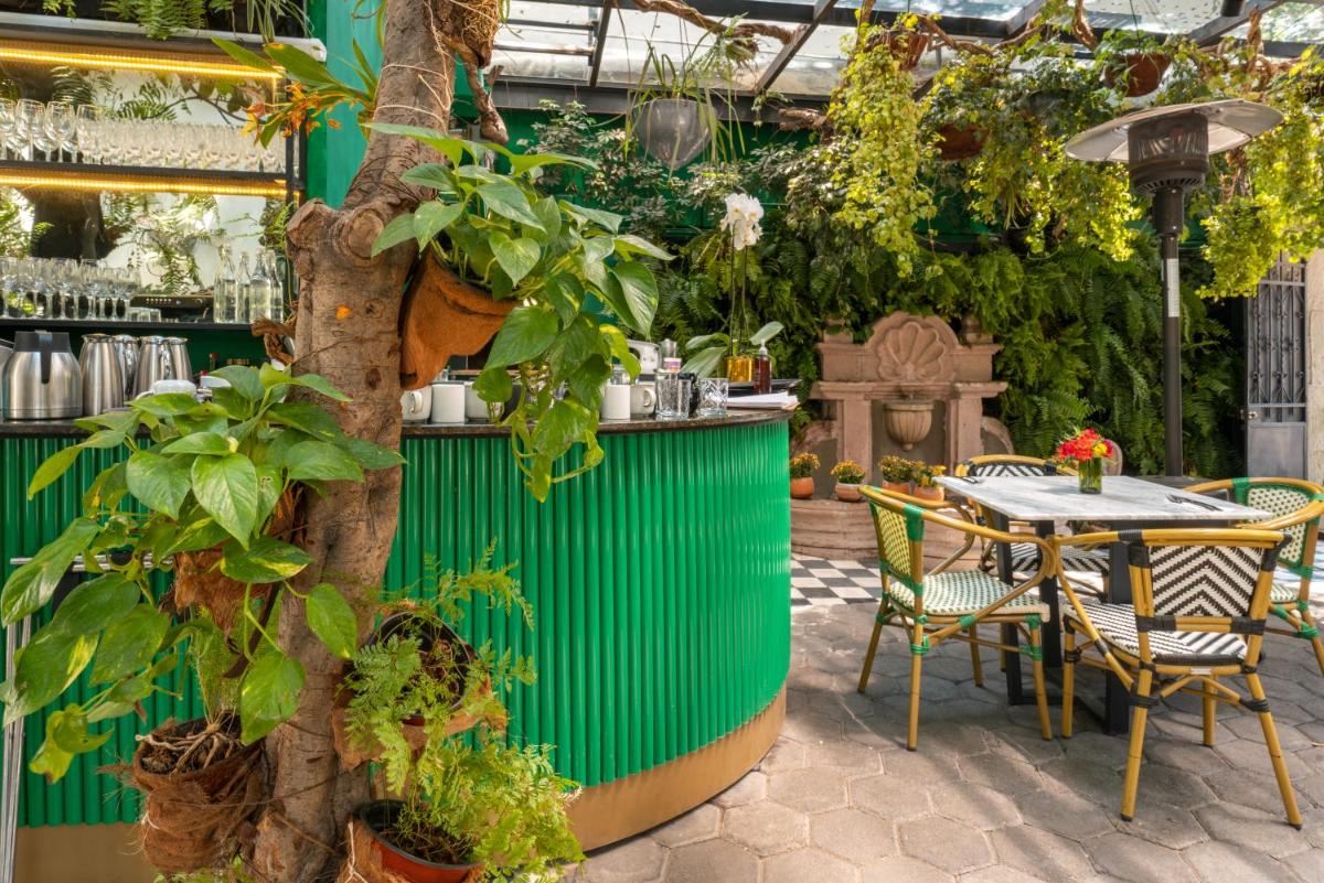 Orchid House Polanco - Housity