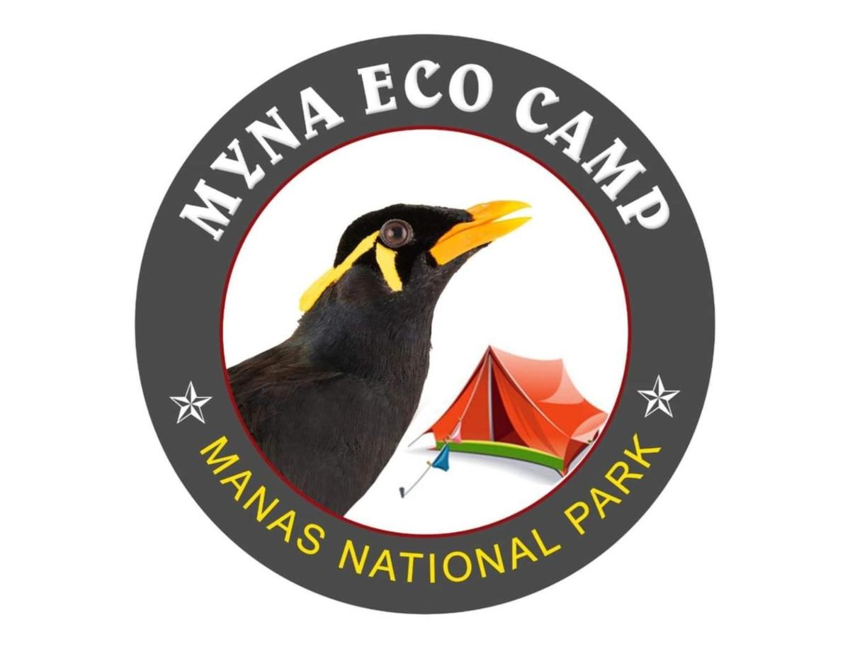Myna Eco Camp, Raghabbil, Assam - Housity
