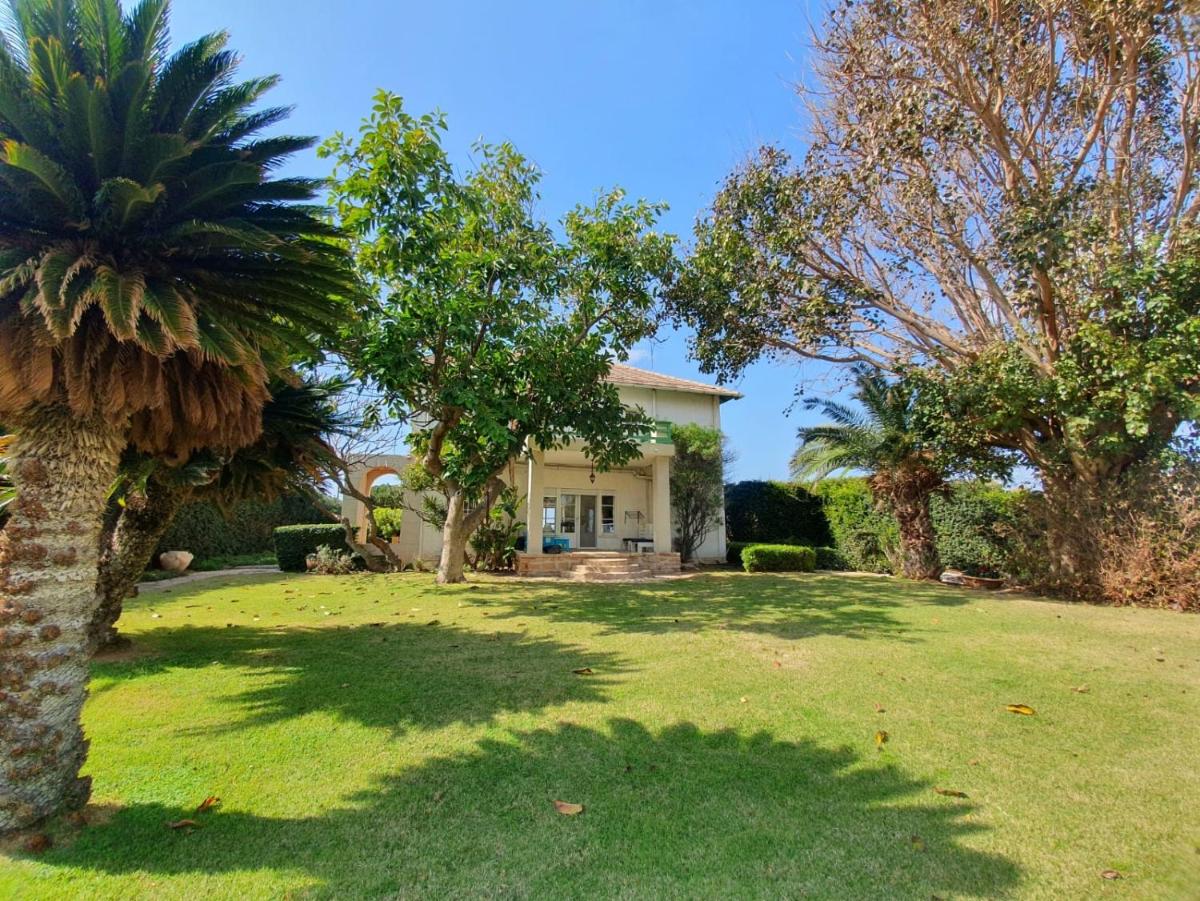 Beach Front Villa - Housity