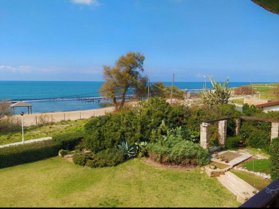 Beach Front Villa - Housity