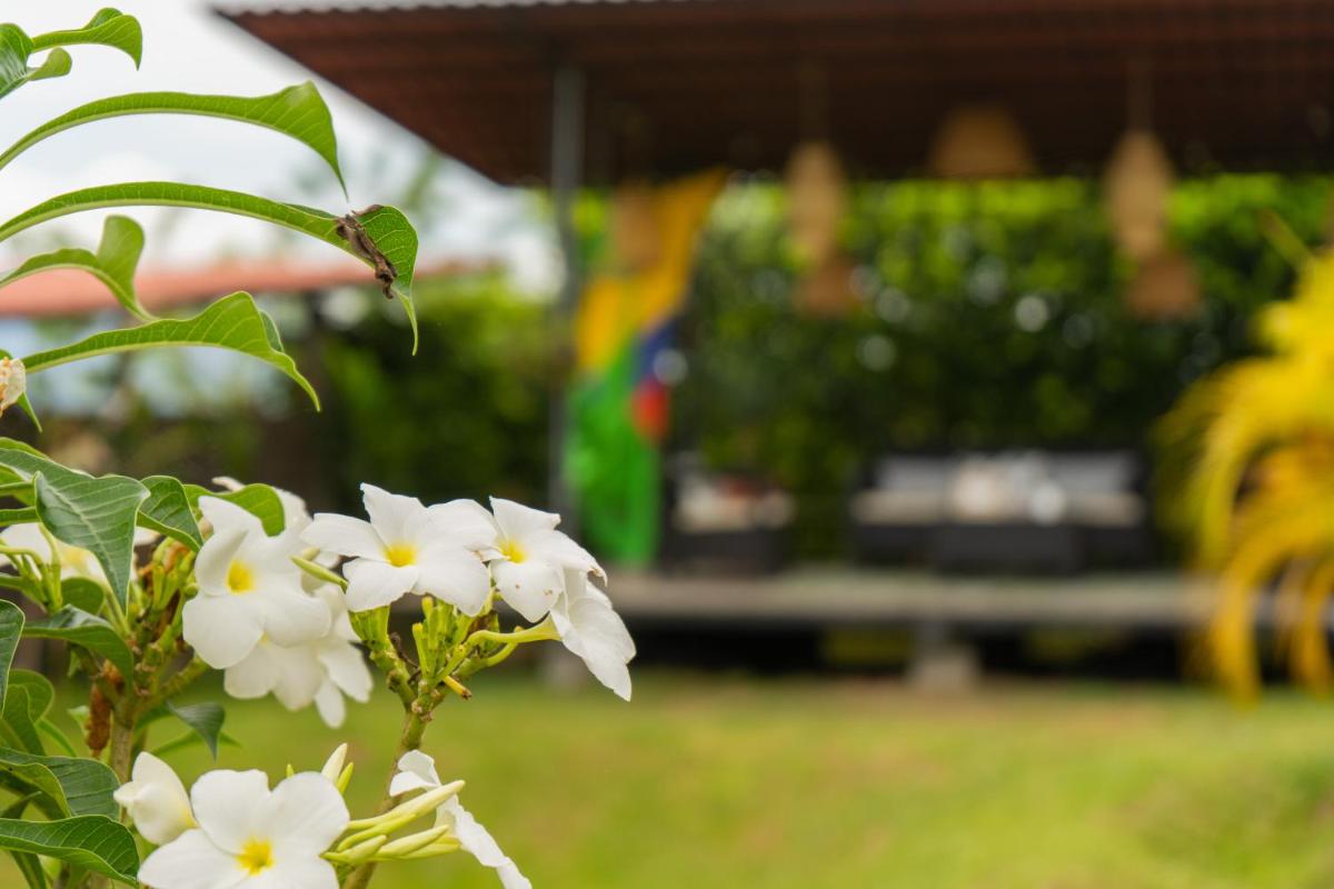 Cabañas Casa Munkala en Cartago - Housity