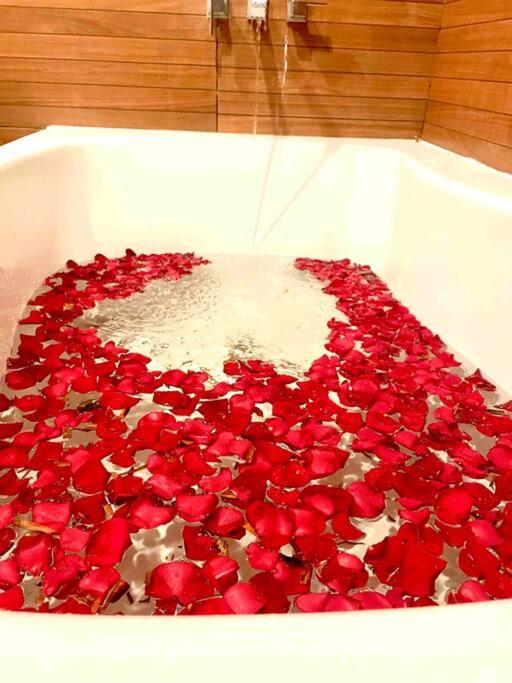 Loft Arte & Diseño Lujo y Amplitud, Alberca, Terraza con Asador 