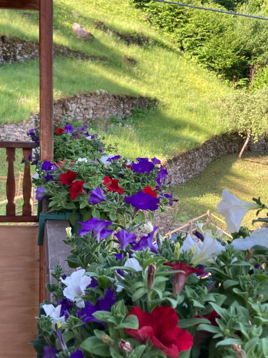 B&B Maison Vallomy - Housity