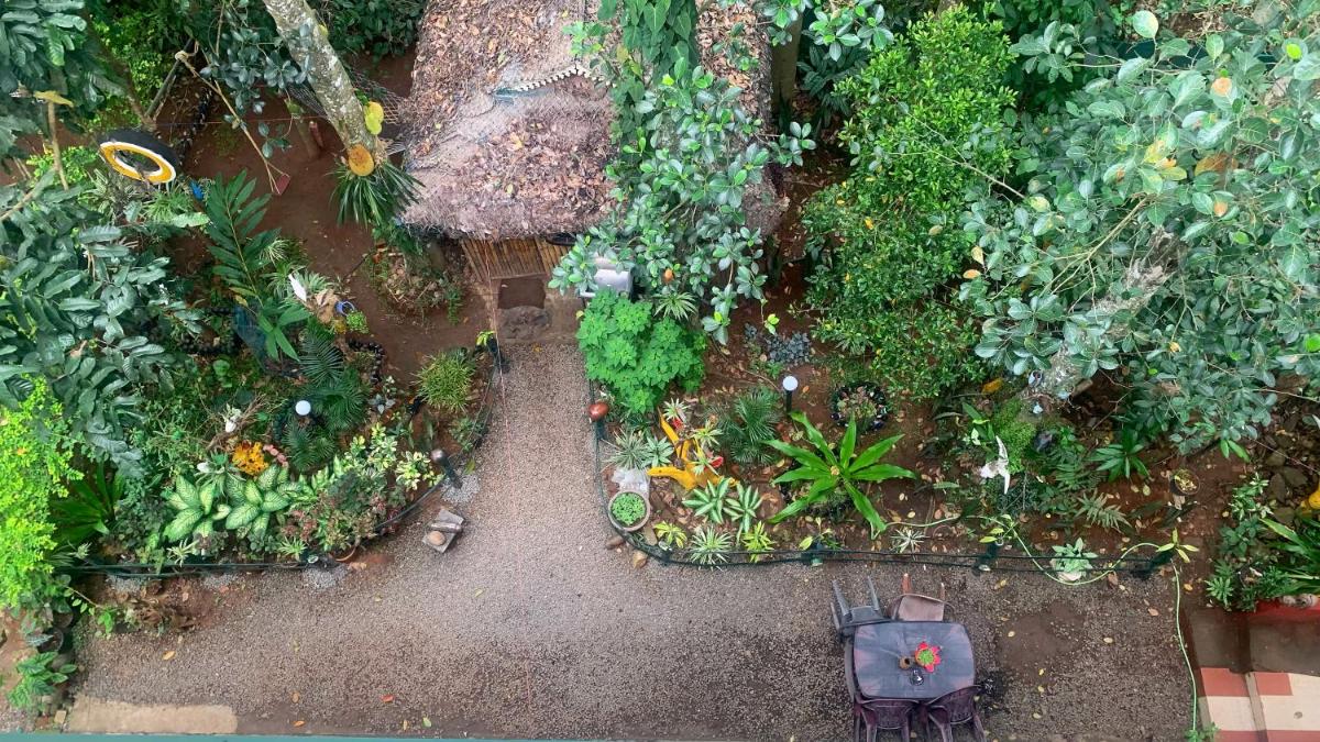 Jungleview Home Stay - Housity