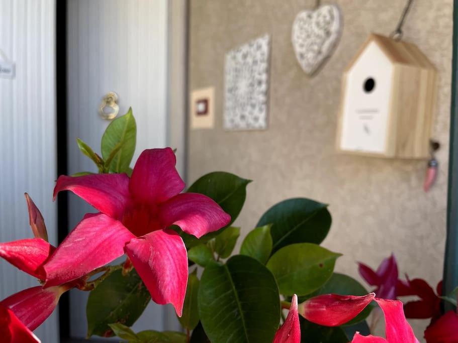 Annali Casa vacanze - Shabby style nella natura - Housity