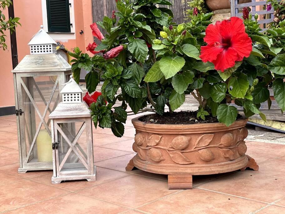 Annali Casa vacanze - Shabby style nella natura - Housity