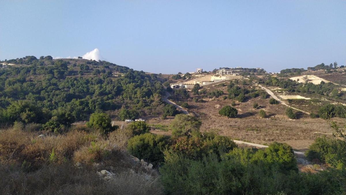 Evergreen studios - Housity