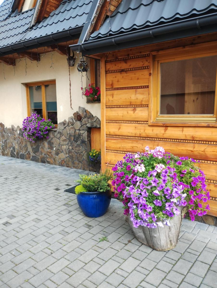 Chatka Zuzia - Housity