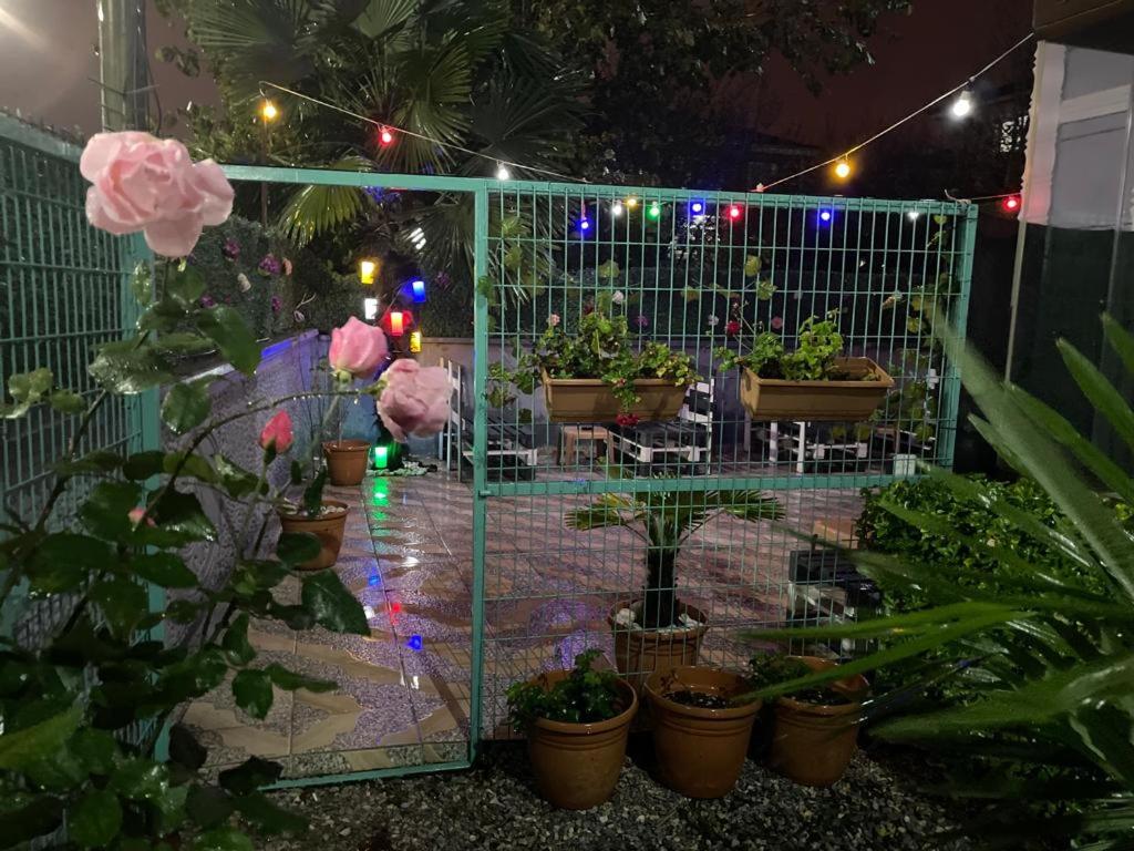 Terrace Boutique Otel - Housity