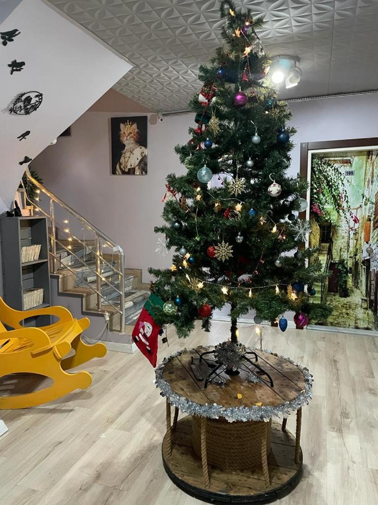 Terrace Boutique Otel - Housity