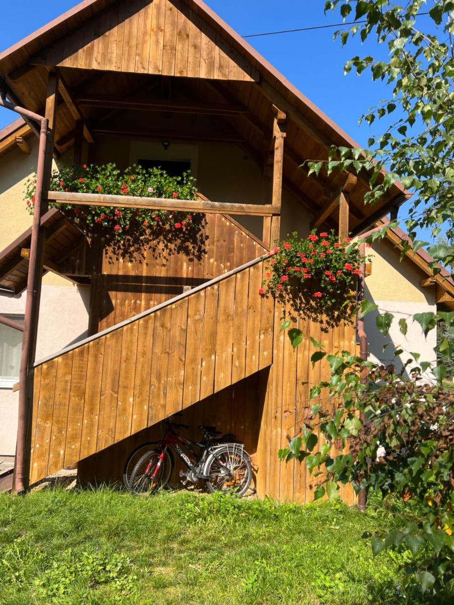 Forest Paradise - Housity