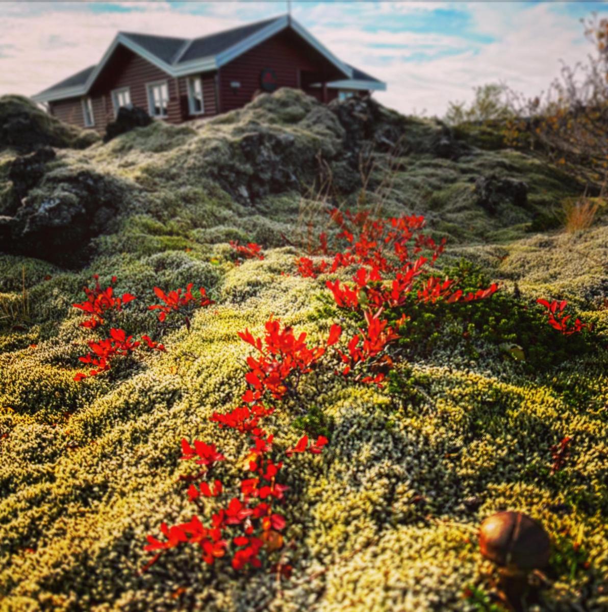 House in lava - Housity