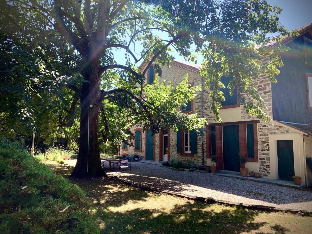 Sous le Tilleul de la Condomine, piscine privee - Housity