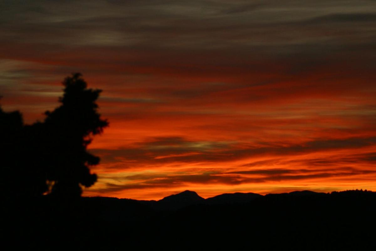 Vi l'Art Wine Lodge - Housity