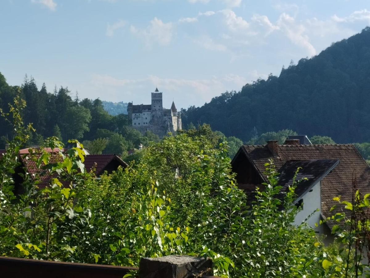 Pensiunea Transilvania Lodge - Housity