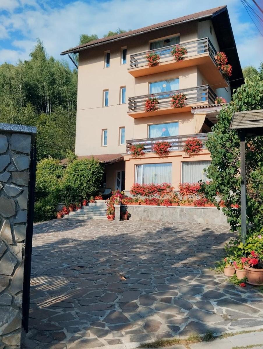 Pensiunea Transilvania Lodge - Housity