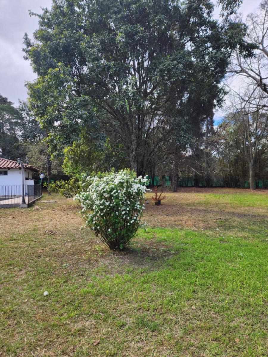 LOS OLIVARES. SAN LORENZO - Housity