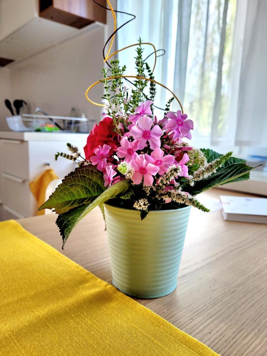 Apartment Sonnenschein - Housity