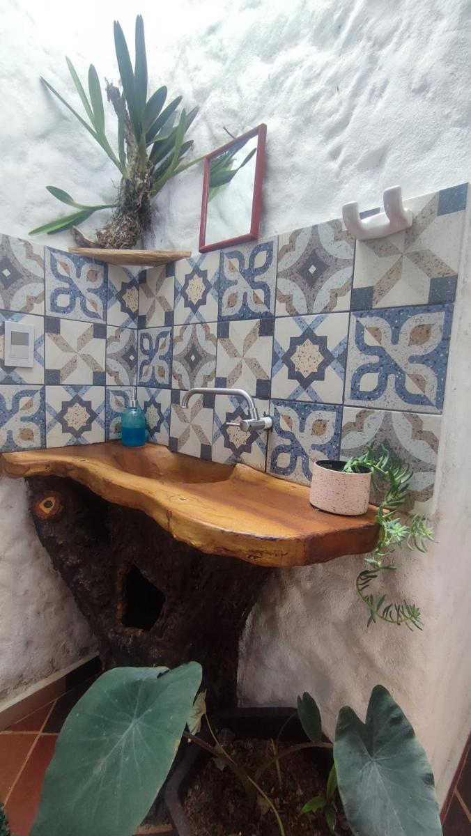 Selvatica EcoHostal - Housity