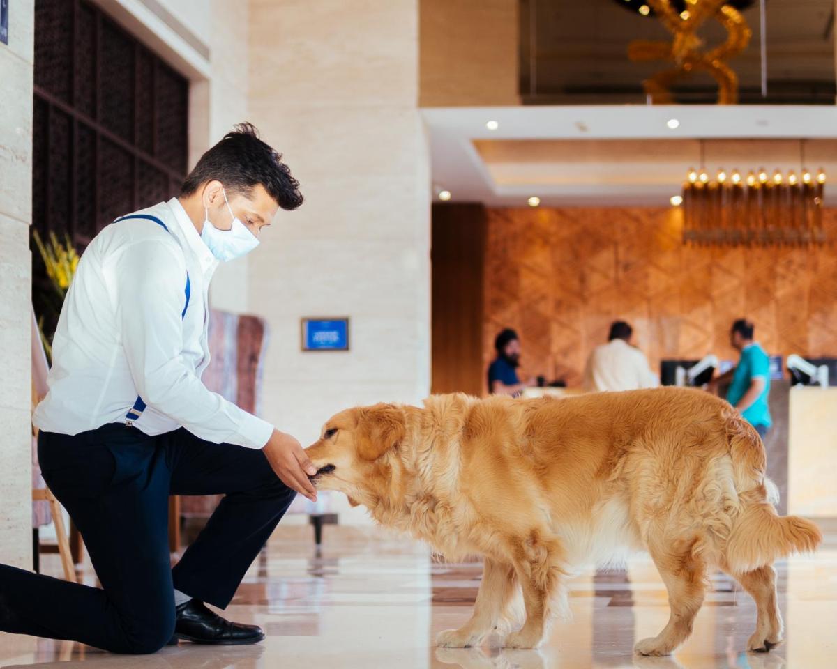 a man wearing a mask petting a dog at Novotel Lucknow Gomti Nagar in Lucknow
