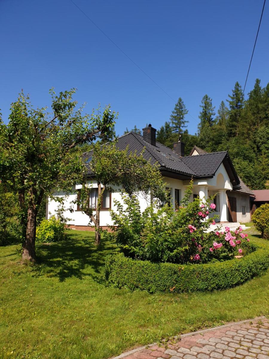Dom Gościnny Zawoja - Housity
