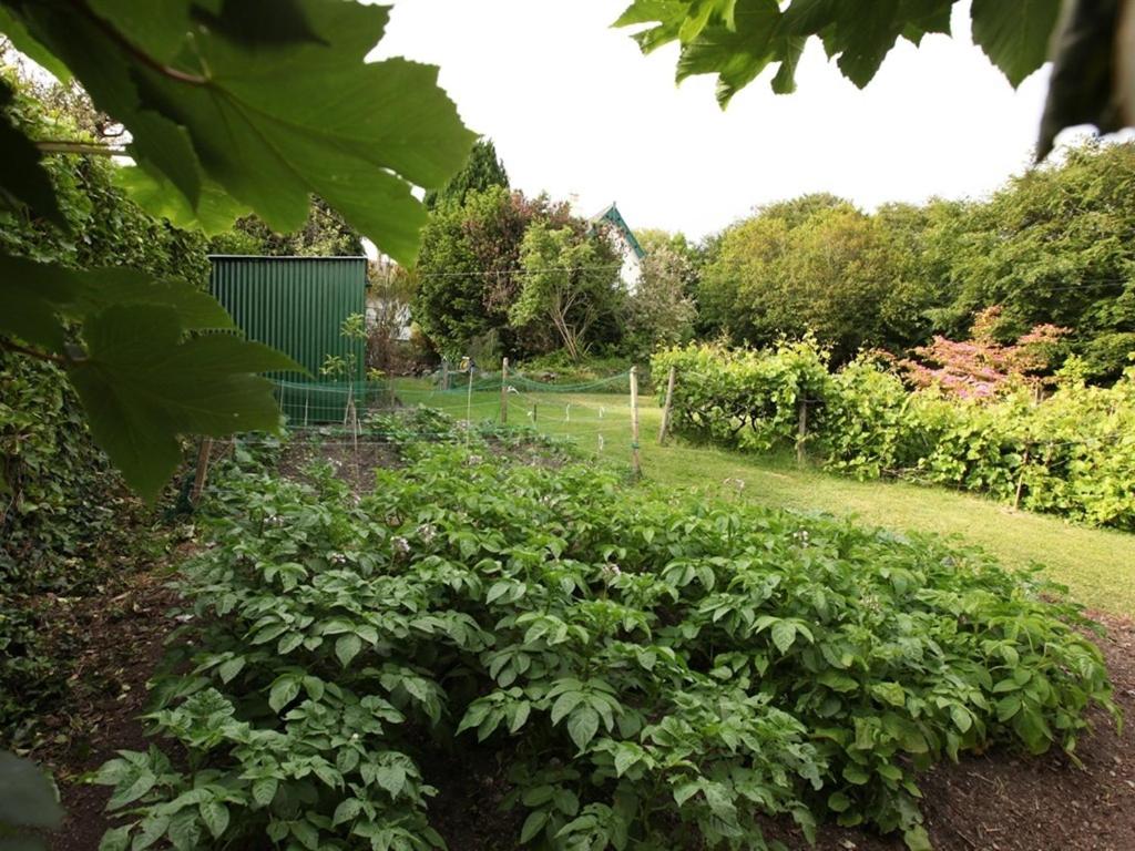 Robin Hill House B&B - Housity