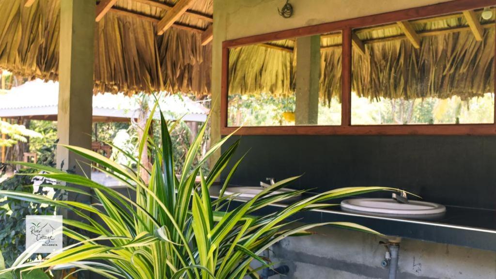 River Cottage - Housity