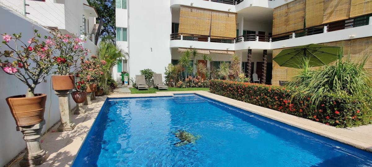 Apartment Tortugas - rooms with AC and great pool at 5 min from Carrizalillo beach and Benito Juarez Bulevard - Housity