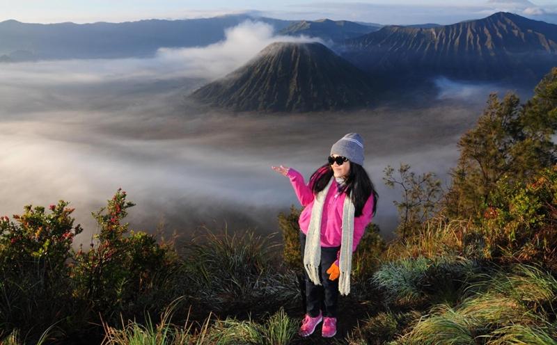 Bromo Adventure Tours - Housity