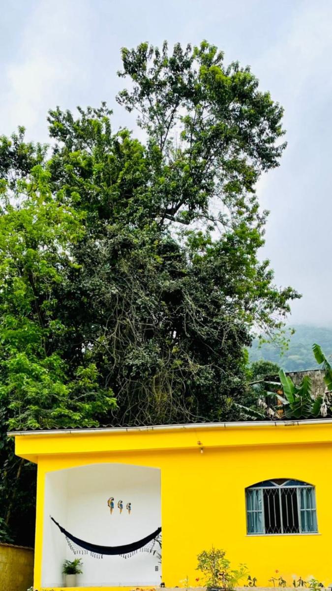 Carvalho de Paquetá - Housity