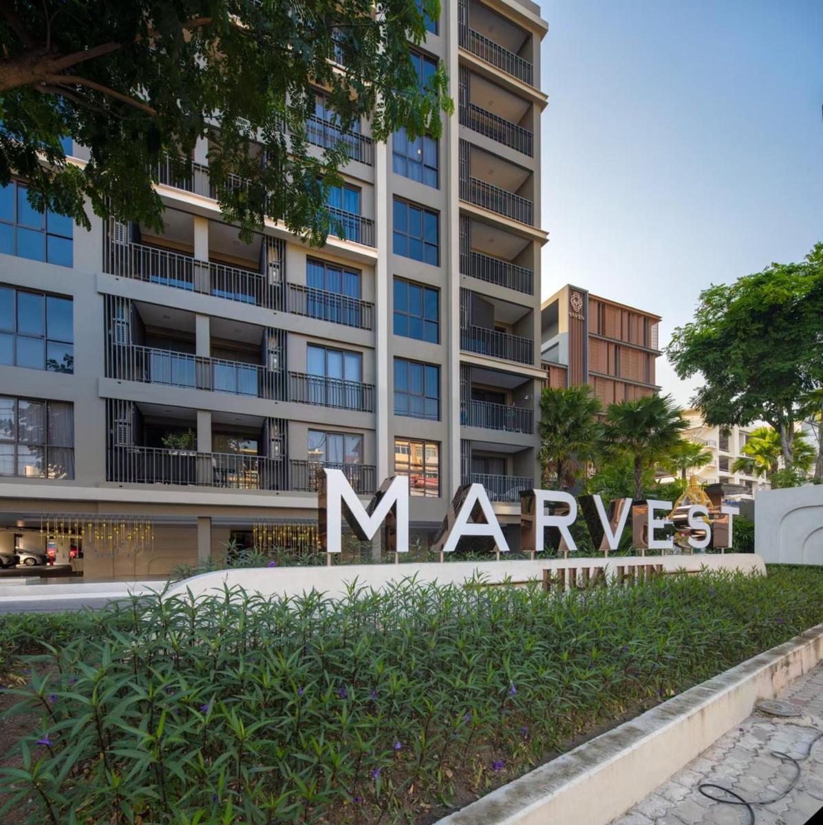 Marvest Hua Hin - Housity