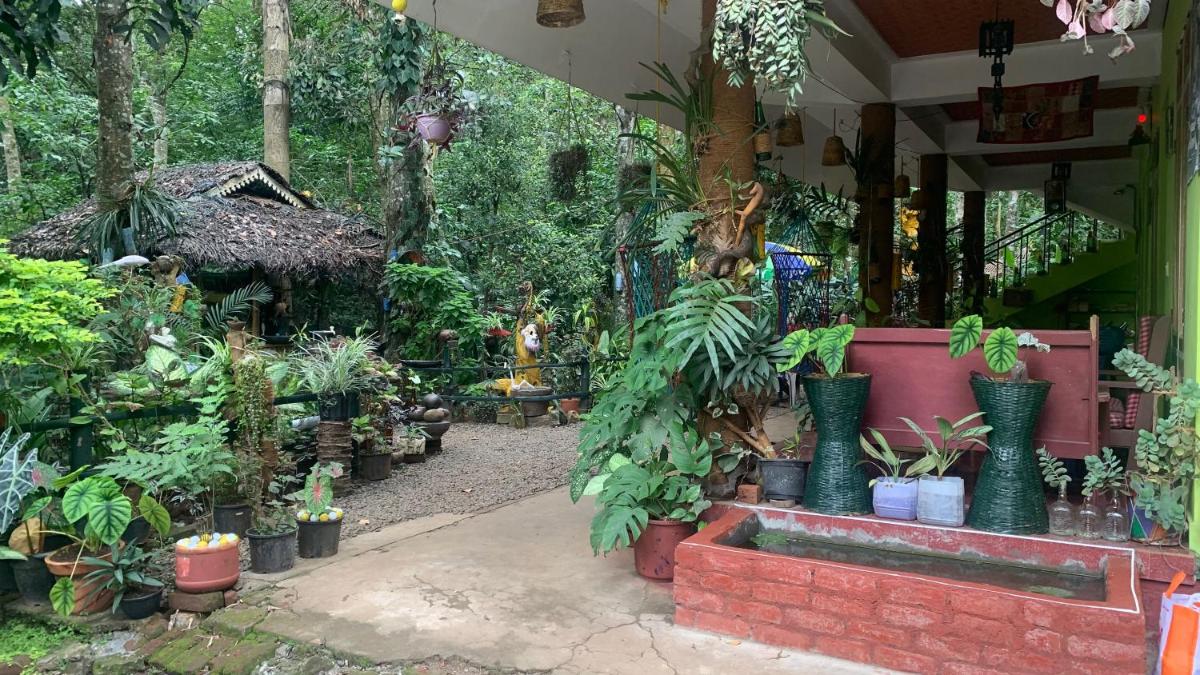 Jungleview Home Stay - Housity