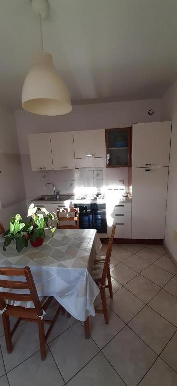 Faluma - Housity