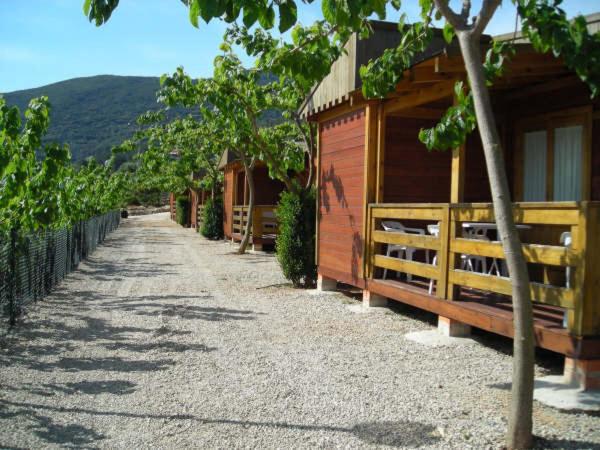 Cabañas y Bungalows La Falaguera - Housity