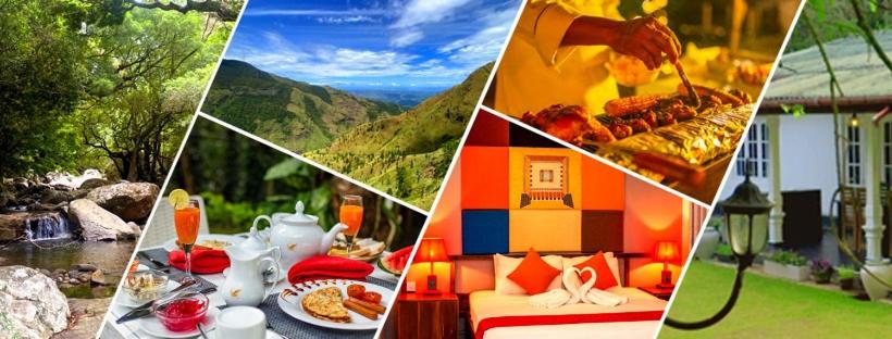 Eagle Wings Holiday - Housity