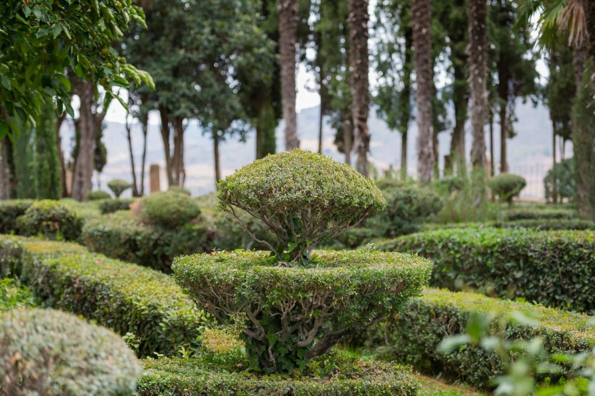 Jardín al aire libre en Castilla Termal Brihuega