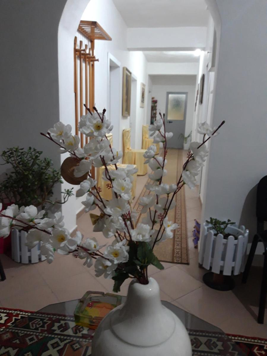 Hotel Beso - Housity