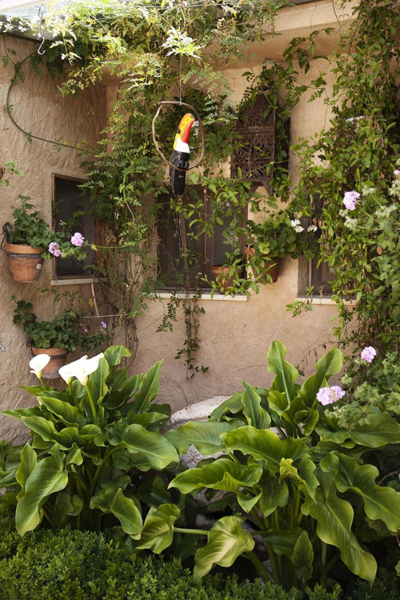 Casa Rural El Simarro - Housity