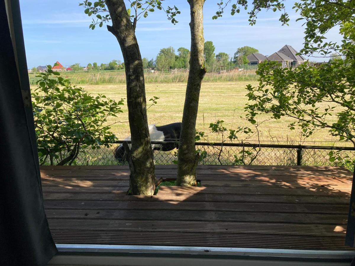 Het oude strandhuis - Housity
