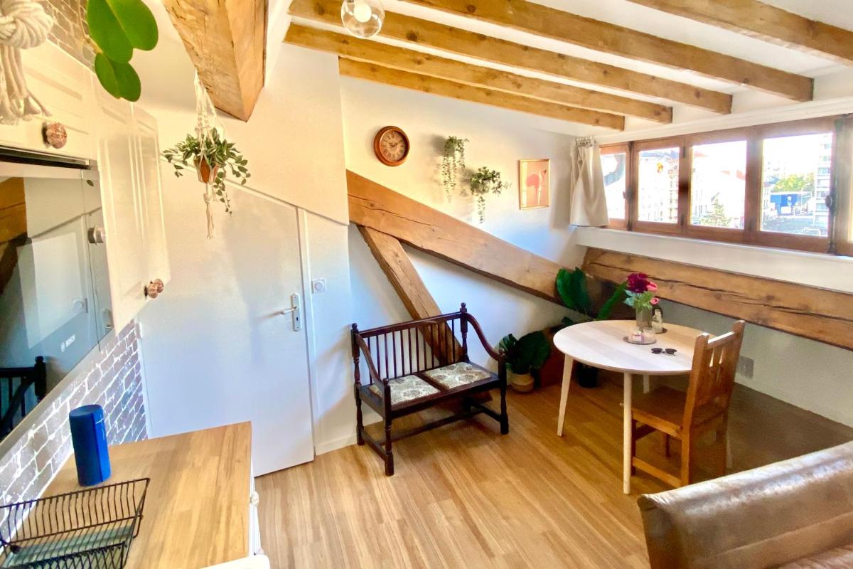 Rétro chic au coeur de Villeurbanne - Housity