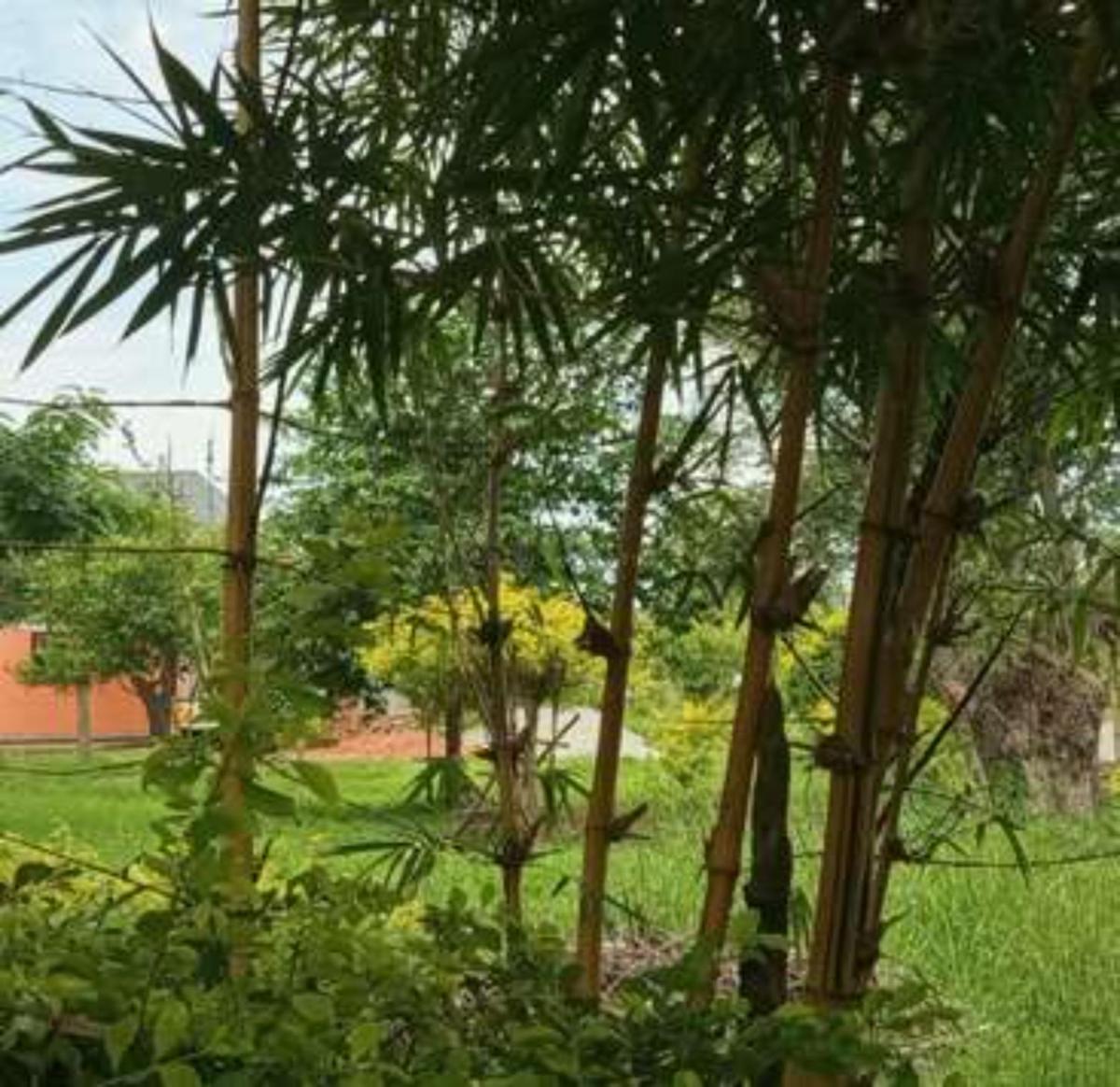 Eco Hub Africa Cottages, Coworking And Nature Escape - Housity