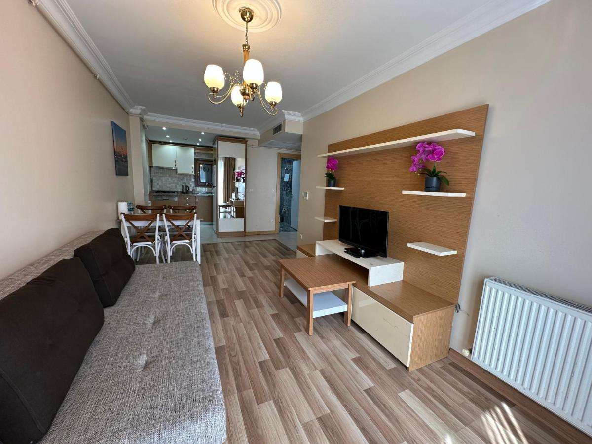 Homelike Residence - Housity