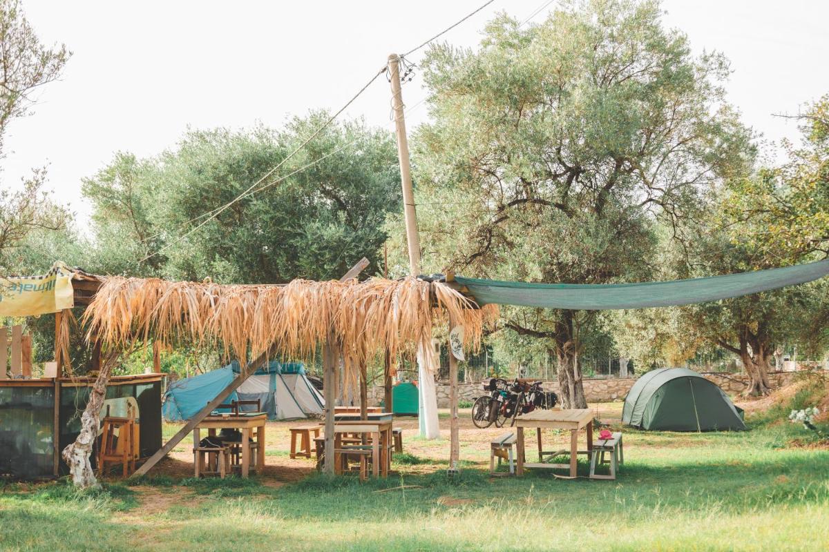 Unique Stay at Olive Camping - Hizvo