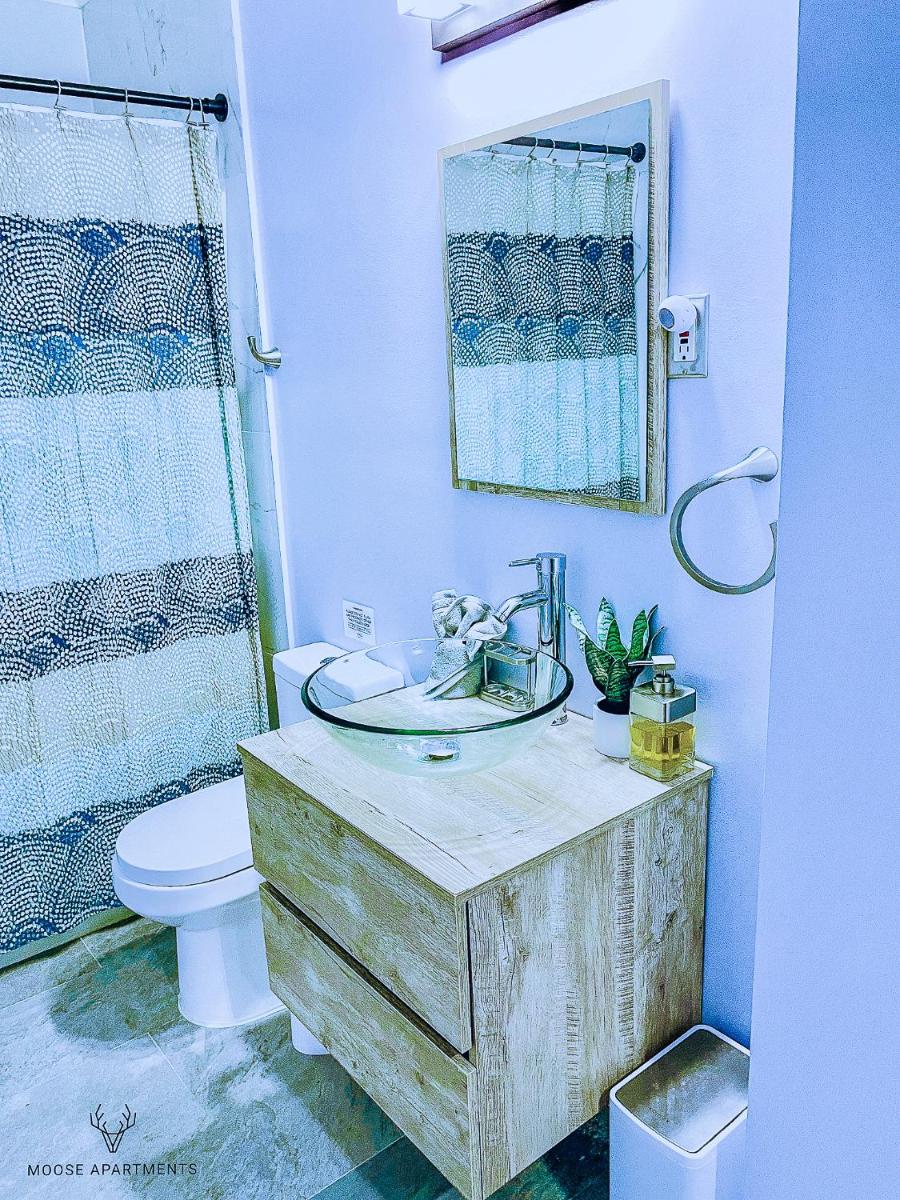 The Moose #3 - Modern Luxe Studio with Free Gated Parking & Wifi - Housity