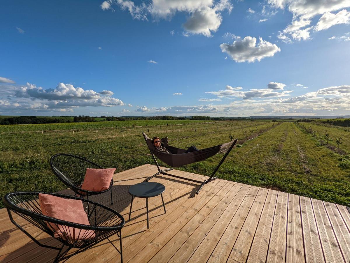 La Tiny House de chez Henri - Housity