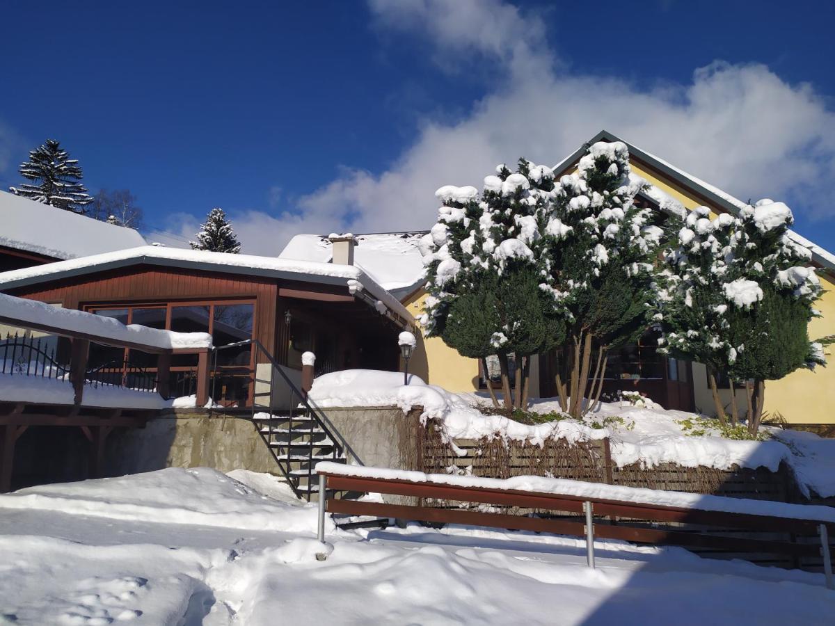 Ubytování U Bohouše - Housity