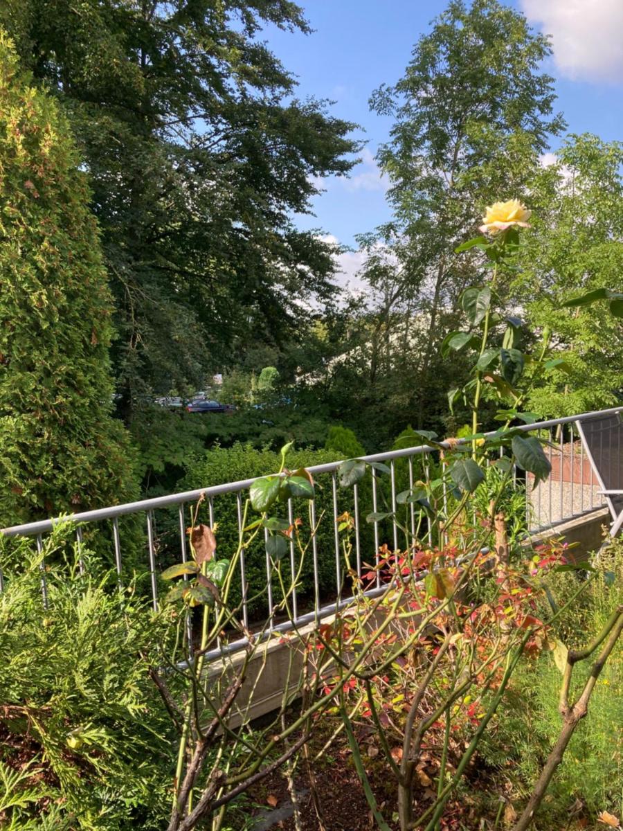 Haus am Wald - Housity